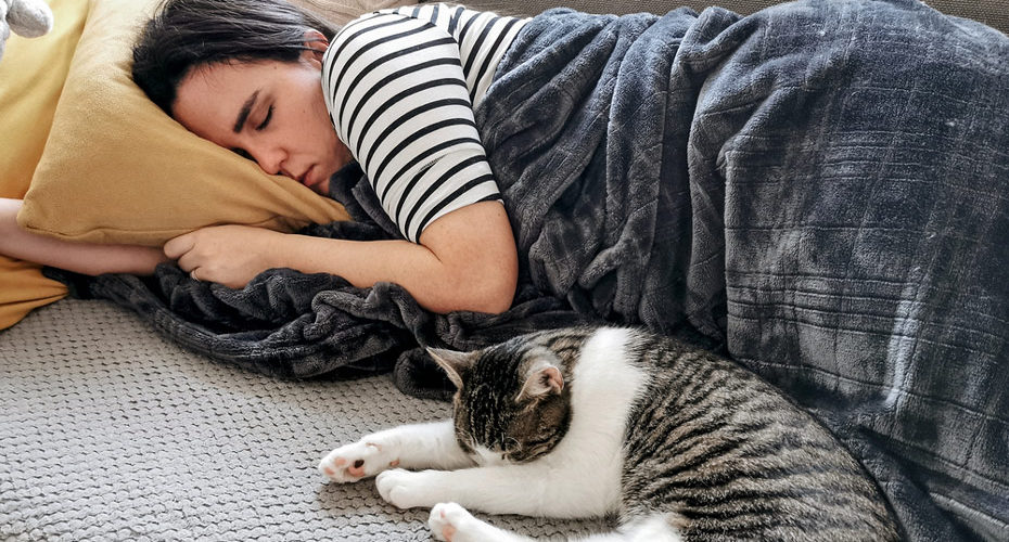 Spanie z kotem w jednym łóżku – zdrowy-sen.eu