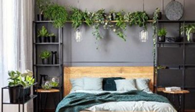 Rośliny i styl jungle w domu, w sypialni – zdrowy-sen.eu